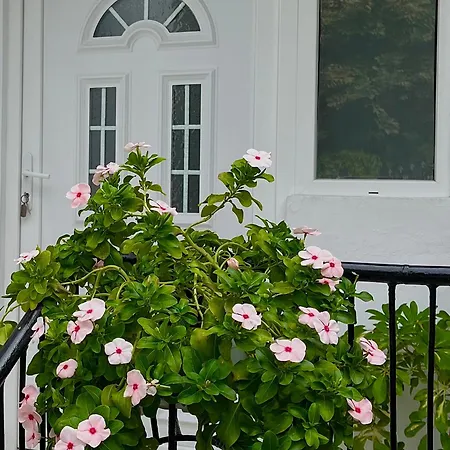 Msapartman Apartment Surcin